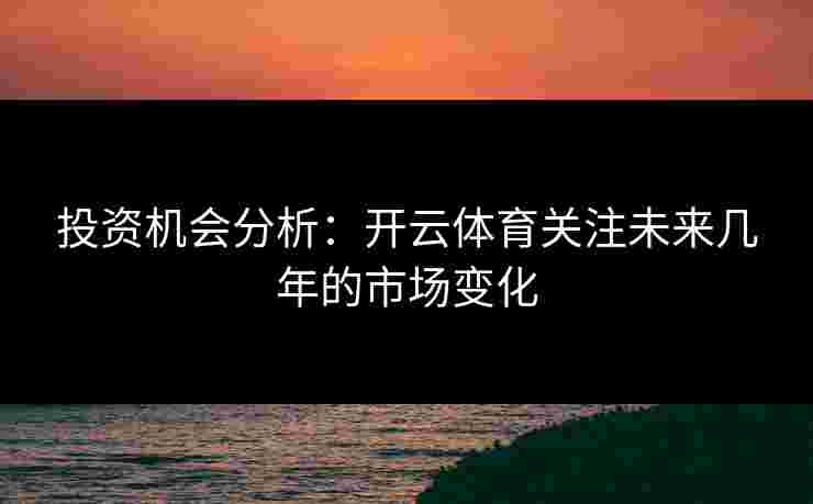 投资机会分析：开云体育关注未来几年的市场变化