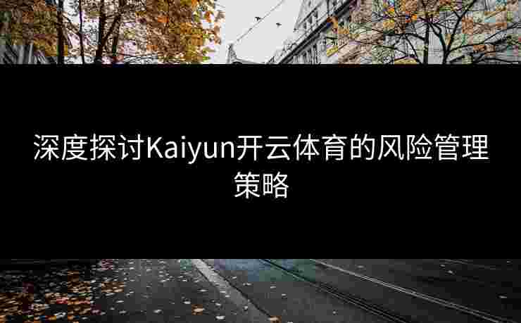 深度探讨Kaiyun开云体育的风险管理策略